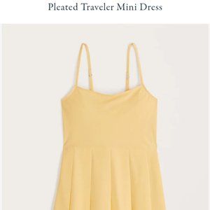 Abercrombie and Fitch Pleated Traveler Mini Dress